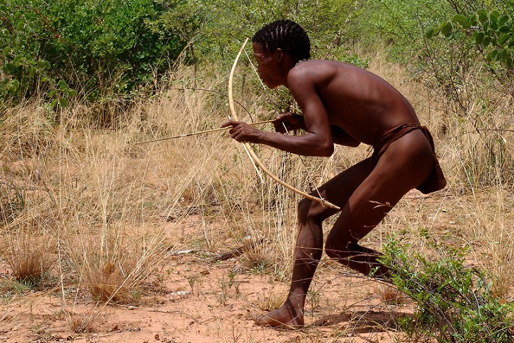 Bushmen chassant