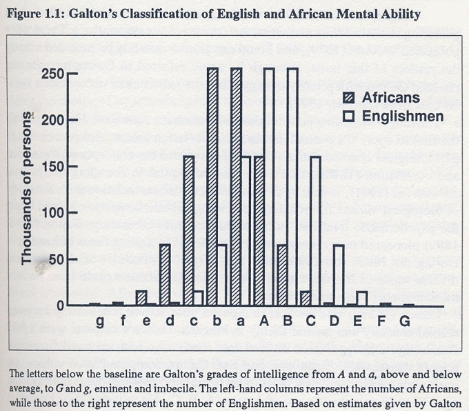 Les différents grades d'intelligence pour les anglais et les africains