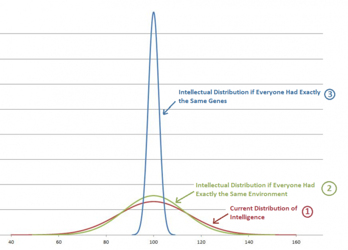 Genetics and Intelligence: The Impact of Heritability Rate on IQ Levels —  Eightify